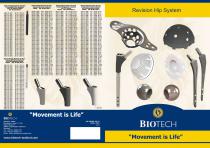 BA Revision Hip System