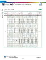 C:Buses jet plat - 10