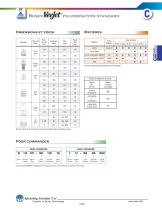 C:Buses jet plat - 11