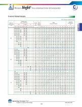 C:Buses jet plat - 9