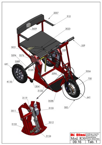 R30 Mobility scooter