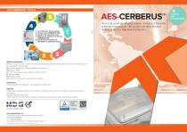 AES-CERBERUS