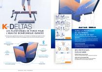 French Brochure - 10