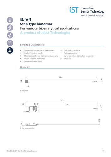 IV4 Brochure en