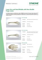 Lower Arm and Hand Models with inflexible Finger joints