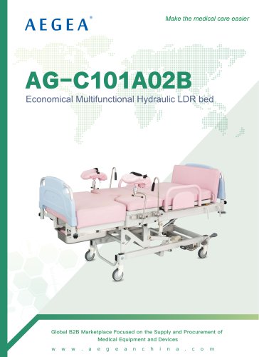 AG-C101A02B Medical Gynecology Manual Labor and Delivery Bed