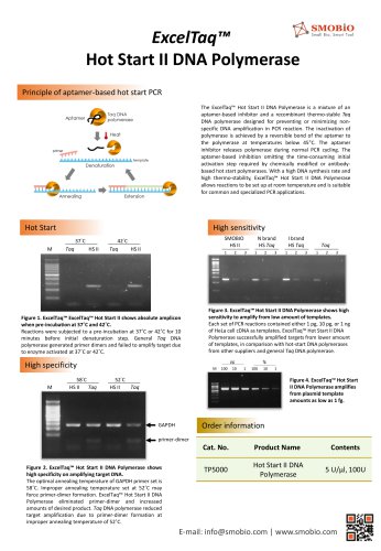 ExcelTaq™ Hot Start II DNA Polymerase