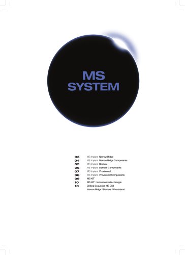 MS SYSTEM