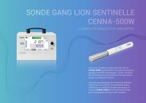 Sonde gamma CENNA-500W - 2