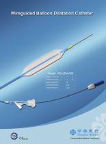 Wireguided Balloon Dilatation Catheter WB-28U-A55