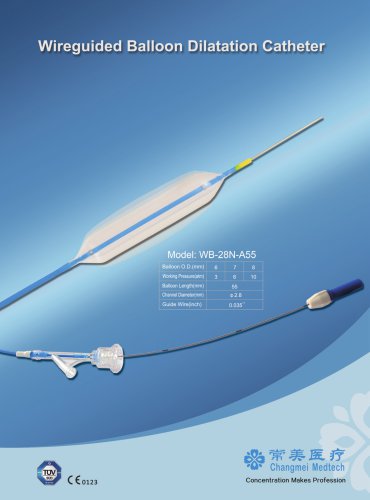 Wireguided Balloon Dilatation Catheter WB-28U-A55