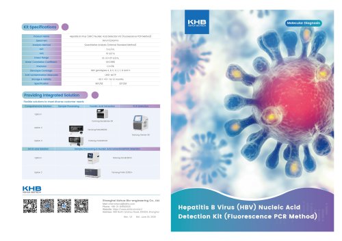 KHB Hepatitis B Virus (HBV) Nucleic Acid Detection Kit (Fluorescence PCR Method)