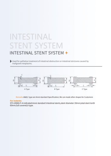 intestinal stent system