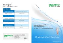 Principal - PTA balloon catheter