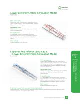 Peripheral vascular simulation/Lower Extremity Artery Simulation Model