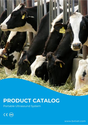 Product Catalog