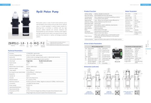 Rp-01 Piston Pump