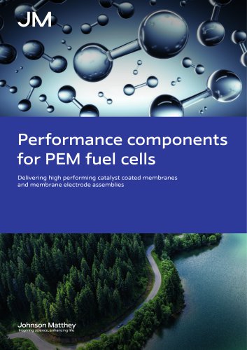 Fuel cells