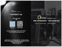 JZGGD001 Laser therapy for animals