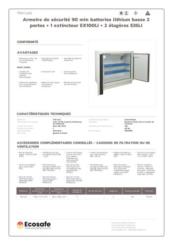 Armoire de sécurité 90 min batteries lithium basse 2 portes + 1 extincteur EX100LI + 2 étagères E35LI