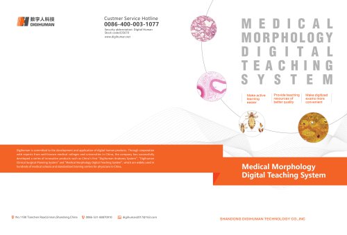 Medical Morphology