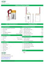 Custom Battery Manufacturer Lithium-ion Polymer Battery