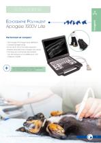 Catalogue 2025 - 9