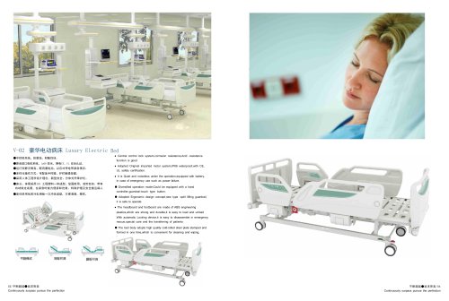 V-02 Luxury Electric Bed
