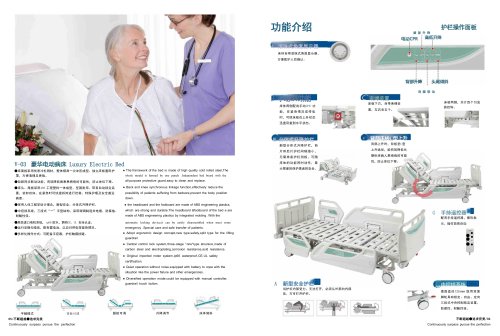 V-03 Luxury Electric Bed