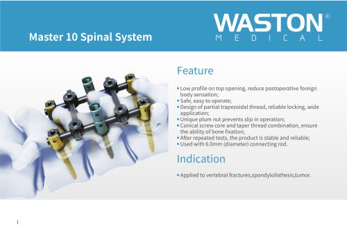 Thoraco-lumbar spinal osteosynthesis unit Master 10