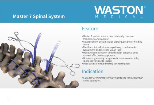 Thoraco-lumbar spinal osteosynthesis unit Master 7