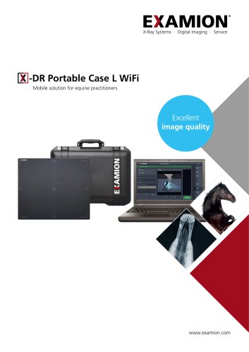 X-DR Portable case L WiFi