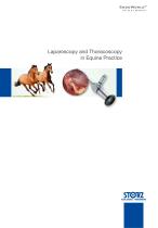 Laparoscopy and Thoracoscopy in Equine Practice