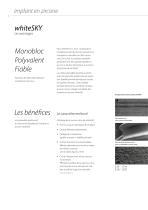 whiteSKY Alveo Line & Tissue Line – Implant en zircone - 4