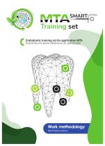 Metodyka_MTA SMART SYSTEM Training set