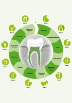 ENDODONTIE - 4