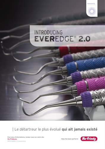 EverEdge 2.0