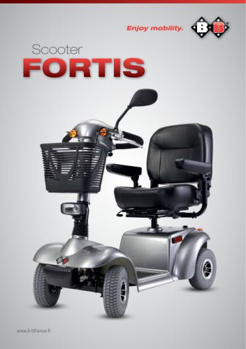 Flyer Fortis