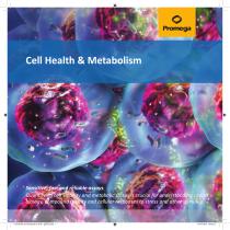 Cell Health Metabolism