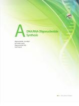 DNA/RNA Oligonucleotide Synthesis