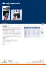 Hip Stabilizing Orthosis