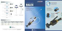 BALEX