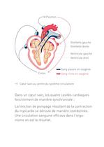 Congestive Heart Failure Therapy System - 6