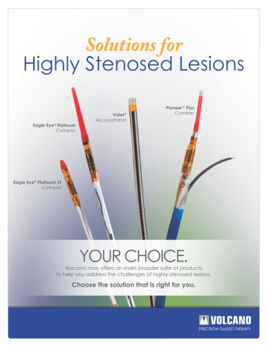 Highly Stenosed Lesions Brochure