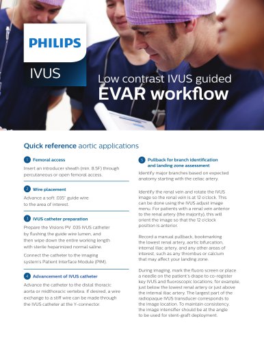 Low contrast IVUS guided EVAR workflow