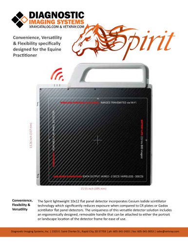 spirit brochure