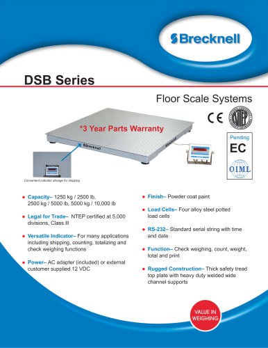 DSB Floor Scale System