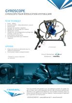 Gyroscope - 2