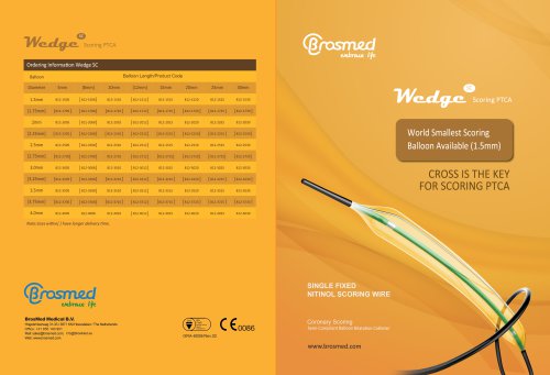 Wedge SC scoring balloon catheter