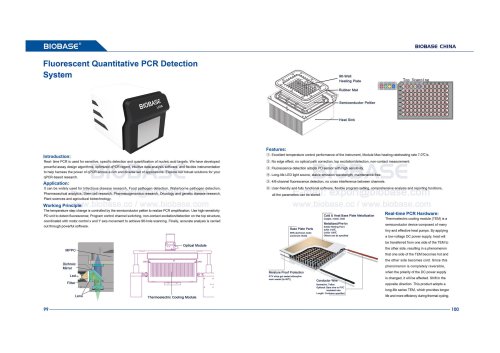 99-100 Fluorescent Quantitative Detection System
